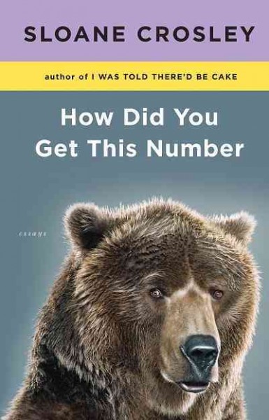 How did you get this number : essays / Sloane Crosley.