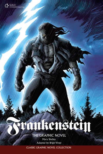 Frankenstein : the graphic novel / Mary Shelley ; script by Jason Cobley ; adapted by Brigit Viney.