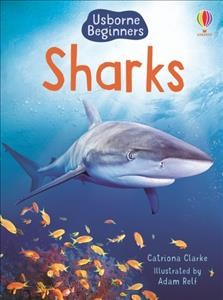 Sharks / Catriona Clarke ; designed by Stephen Moncrieff ; illustrated by Adam Relf.