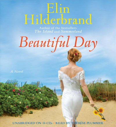 Beautiful day :  a novel / Elin Hilderbrand.