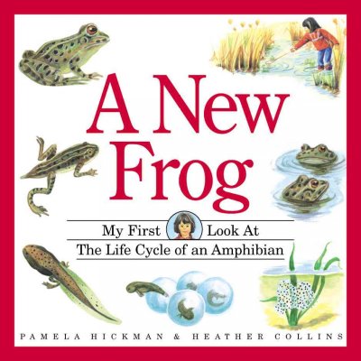 A New frog Heather Collins ; Illustrator