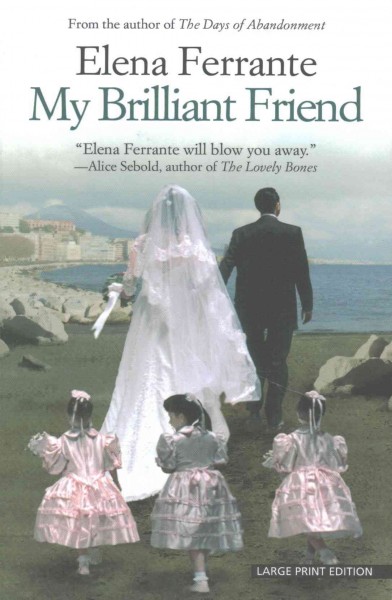My brilliant friend : childhood, adolescence / Elena Ferrante ; translated by the Italian by Ann Goldstein.