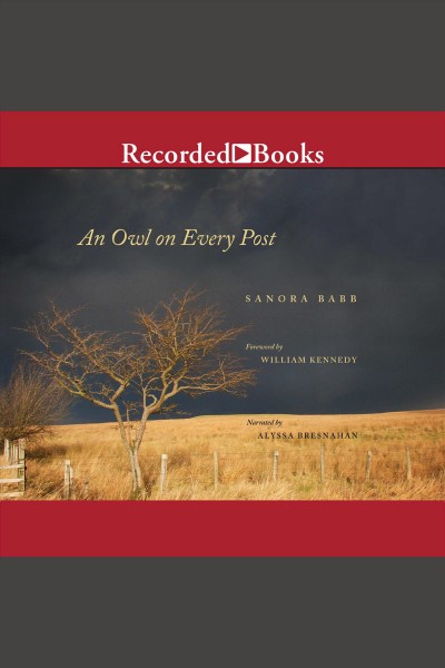 An owl on every post [electronic resource] / Sanora Babb.