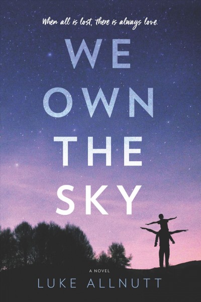 We own the sky : a novel / Luke Allnutt.