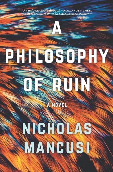 A philosophy of ruin : a novel / Nicholas Mancusi.