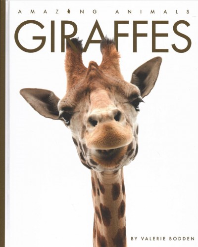 Giraffes / Valerie Bodden.