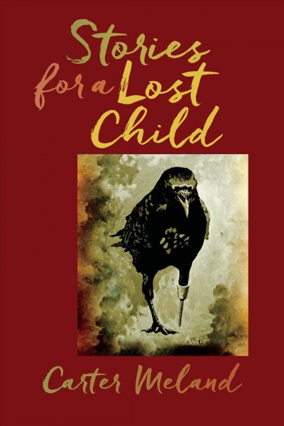 Stories for a lost child / Carter Meland.