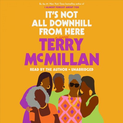 It's not all downhill from here:  a novel Terry McMillan.