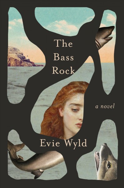 The Bass Rock : a novel / Evie Wyld.