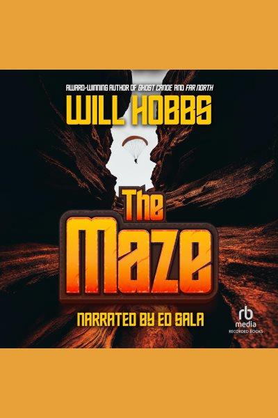 The maze [electronic resource]. Will Hobbs.