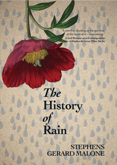 The history of Rain / Stephens Gerard Malone.