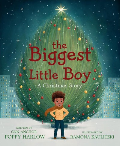 The biggest little boy : a Christmas story / written by CNN anchor Poppy Harlow ; illustrated by Ramona Kaulitzki.