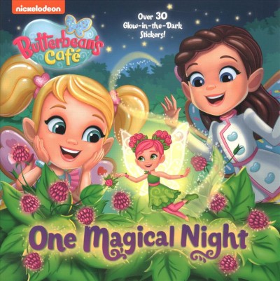 One magical night / adapted by Christy Webster ; illustrated by MJ Illustrations.