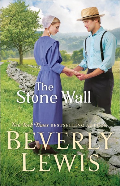 The Stone Wall [electronic resource].