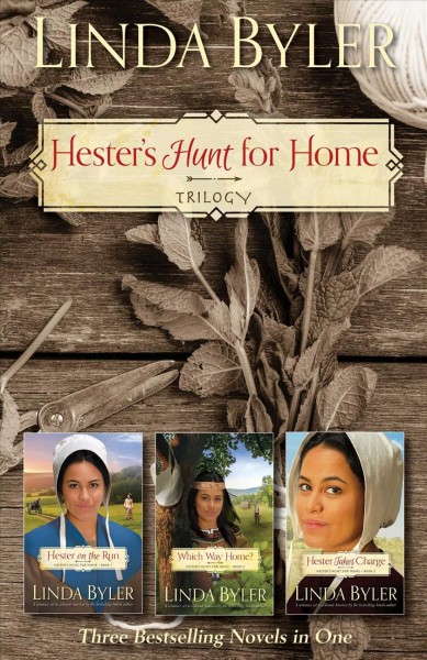 Hester's hunt for home trilogy / Linda Byler.