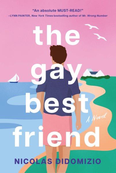 The gay best friend : a novel / Nicolas DiDomizio.