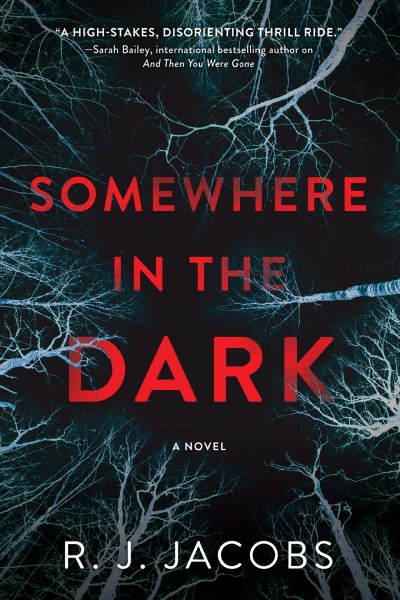 Somewhere in the dark : a novel [electronic resource] / R.J. Jacobs.