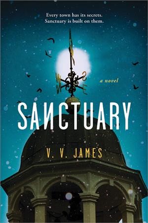Sanctuary : a novel / V. V. James.