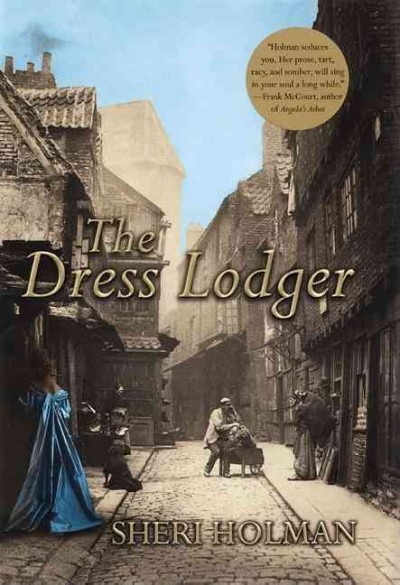 The dress lodger / Sheri Holman.