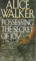 Possessing the secret of joy  Cover Image