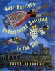 AUNT HARRIET'S UNDERGROUND RAILROAD IN THE SKY. Cover Image