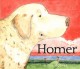 Homer  Cover Image
