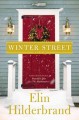 Winter street : a novel  Cover Image