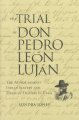 The trial of Don Pedro León Luján : The attack against Indian slavery and the Mexican traders in Utah  Cover Image