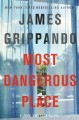 Most Dangerous Place :   v.13 : Jack Swyteck  Cover Image