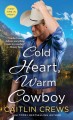 Cold heart, warm cowboy  Cover Image