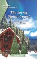 The secret Santa project  Cover Image