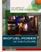 Go to record Biofuel power of the future : new ways of turning organic ...